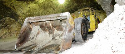 Ladetransportfahrzeug